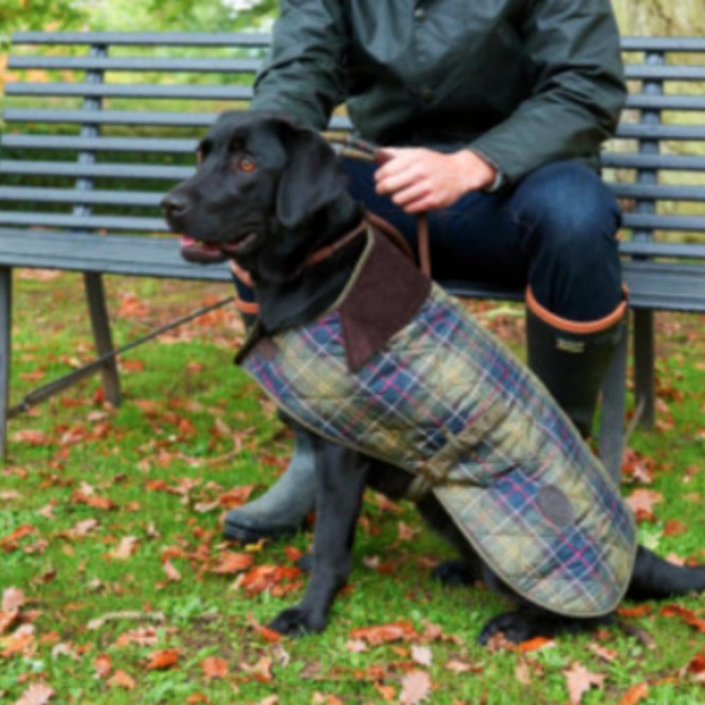 Barbour Olive & Navy Tartan Quilted Dog Jacket
